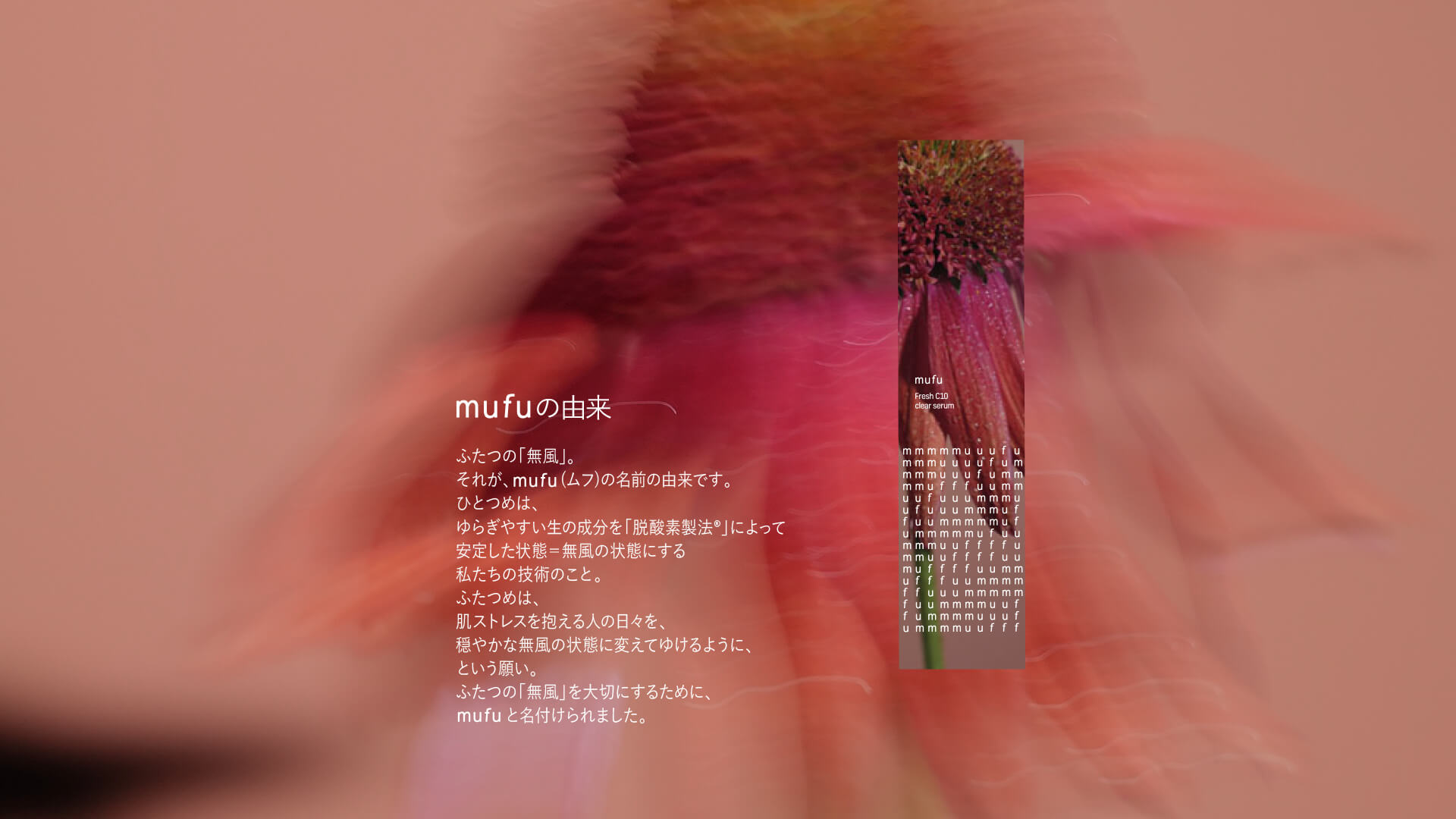 mufuの由来