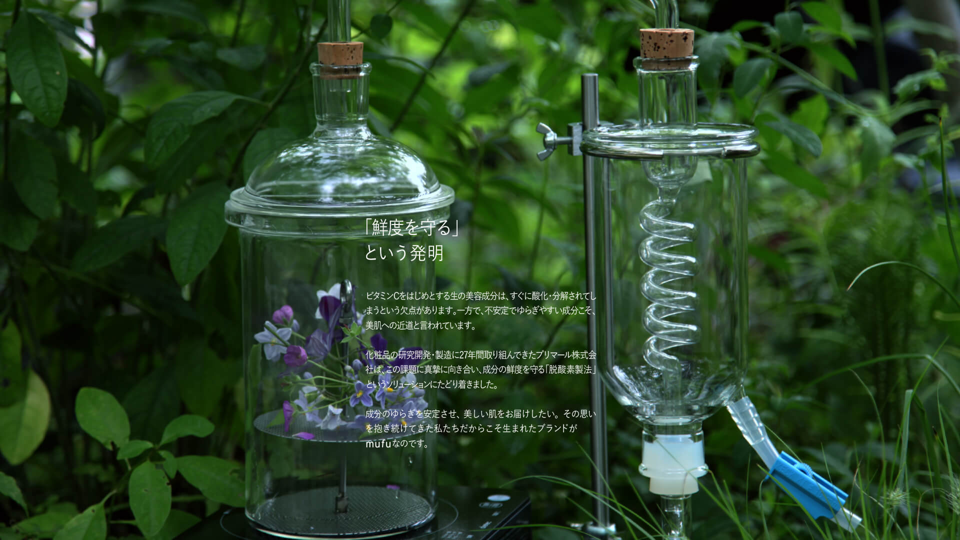 「鮮度を守る」という発明