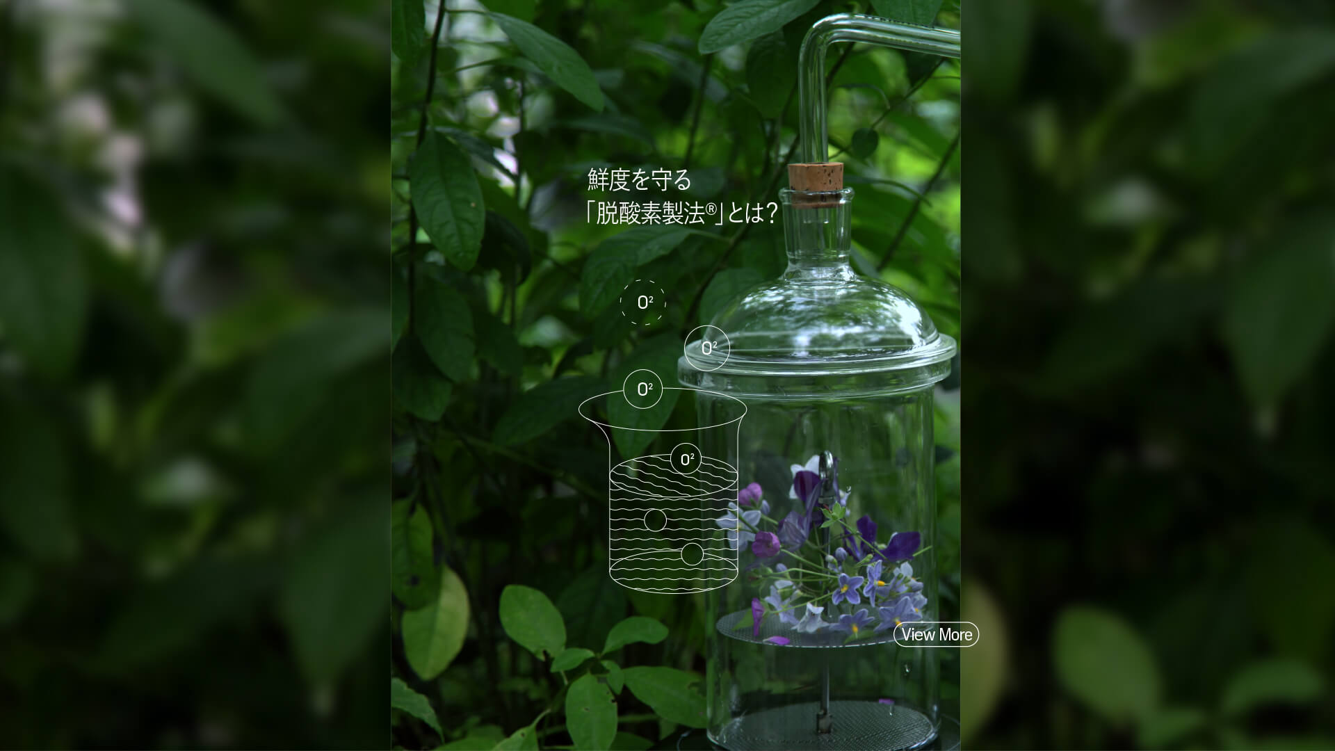 鮮度を守る「脱酸素製法」とは